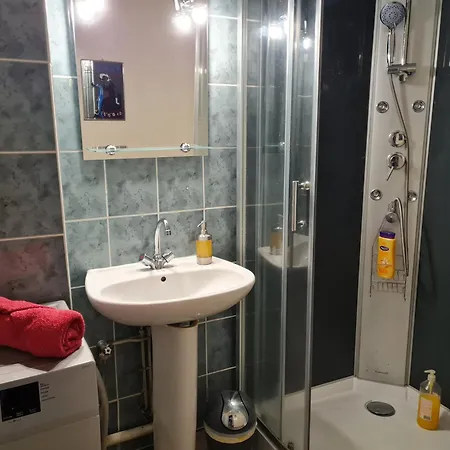 La Belle Epoque, Grand En Centre-ville Apartment *