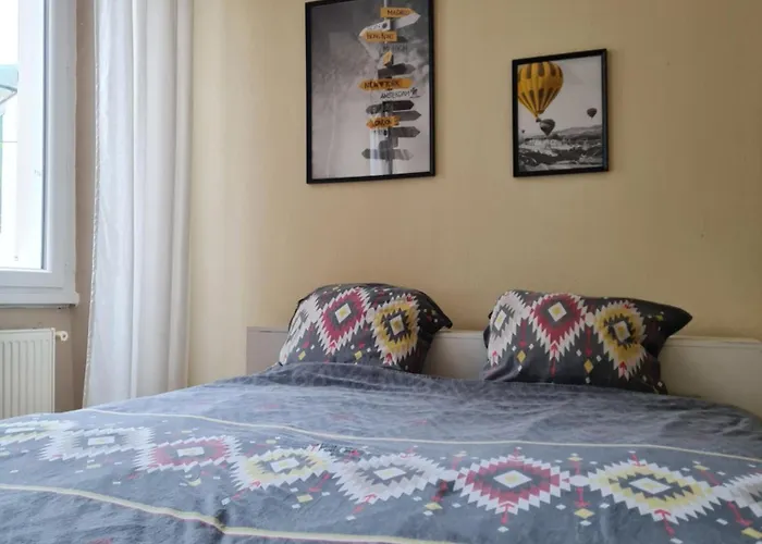 Apartment La Belle Epoque, Grand En Centre-ville *