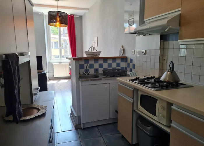 La Belle Epoque, Grand En Centre-ville Appartamento Foix